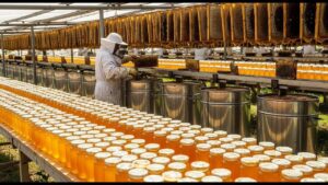 Maior fazenda de mel orgânico do Brasil produz 150 toneladas por ano, integra 20 mil cabeças de gado, recupera 8 mil hectares e transforma abelhas em motor de um sistema agrícola sustentável